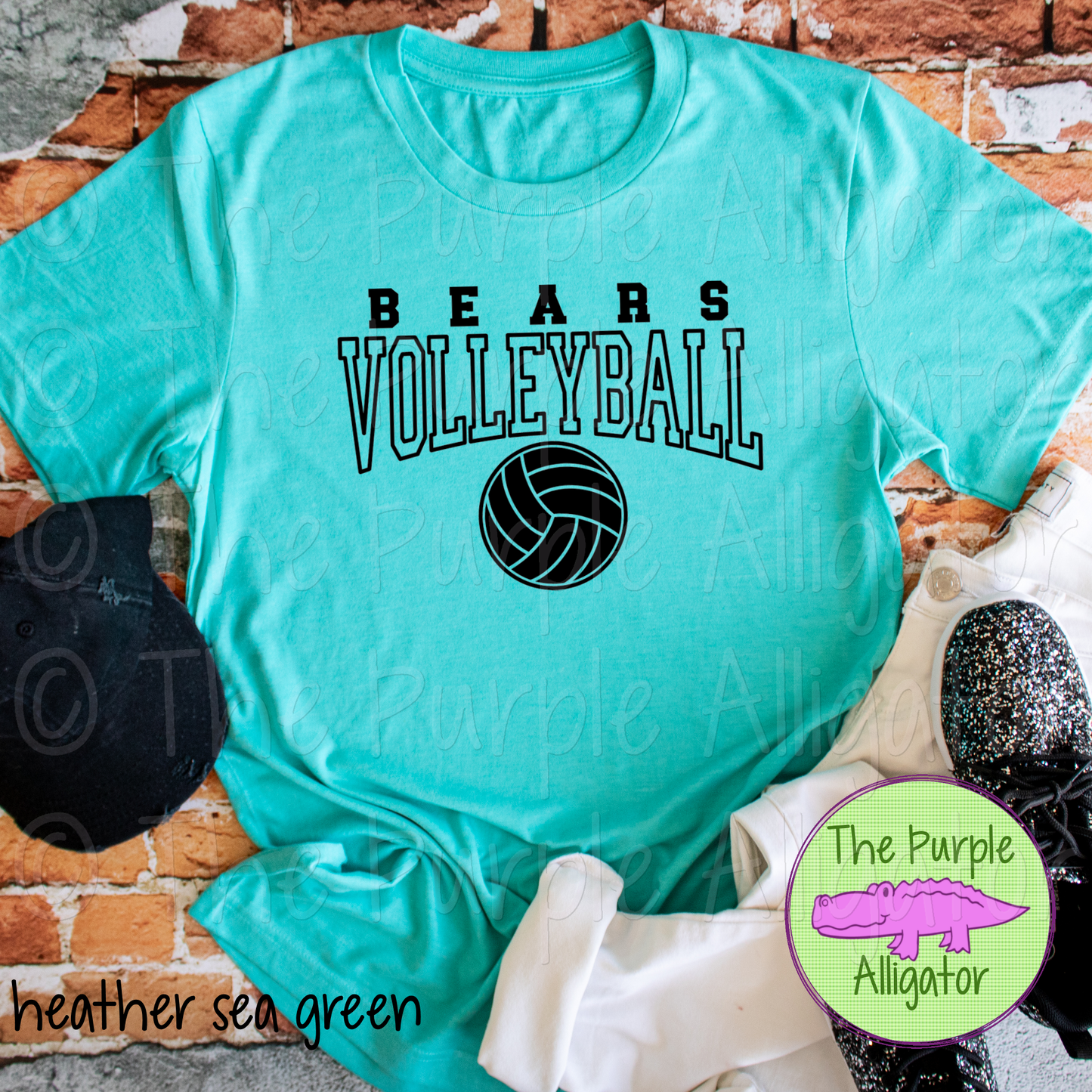 Bears Volleyball SC49 Mascot School Spirit - CHOOSE YOUR DESIGN COLOR (d2f TPA)