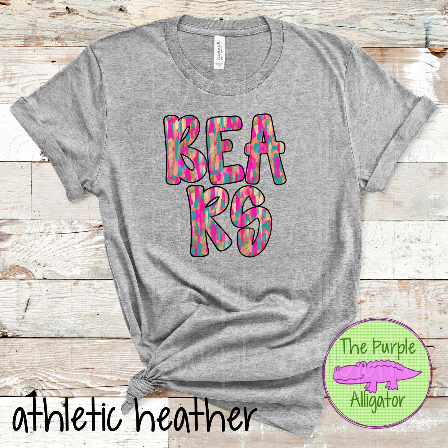 Bears School Spirit Mascot Lucky Streaks 0924 (d2f TPA)