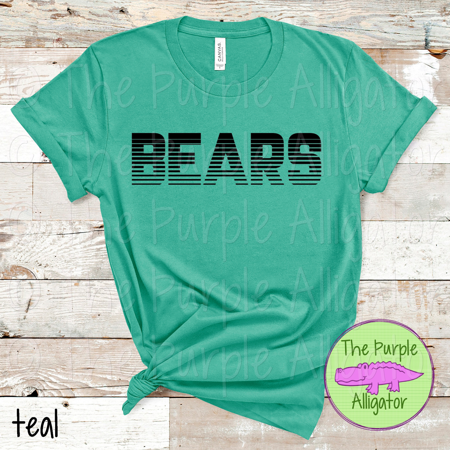 Bears Championship Mascot School Spirit - CHOOSE YOUR TEXT COLOR (d2f TPA)