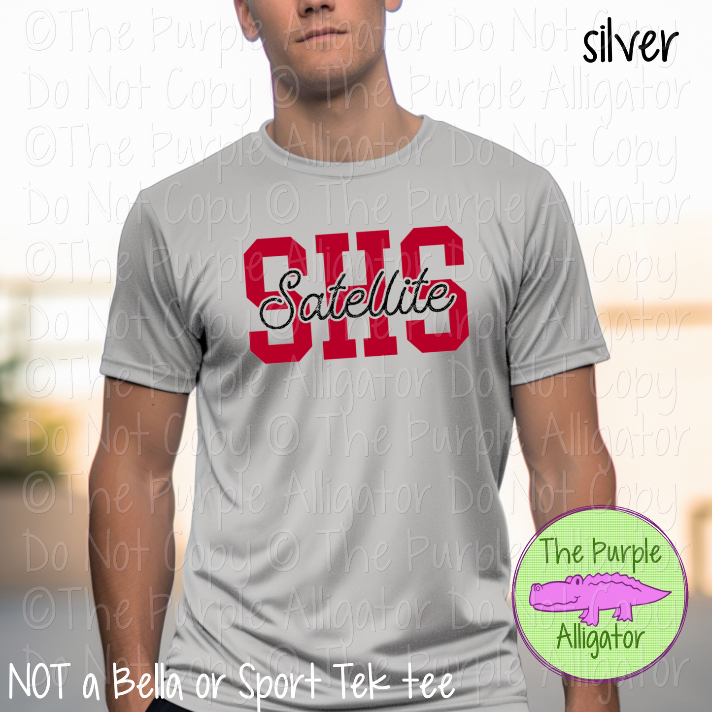 SHS Satellite CB Grunge School Spirit CHOOSE YOUR DESIGN COLORS 0125 (d2f TPA)