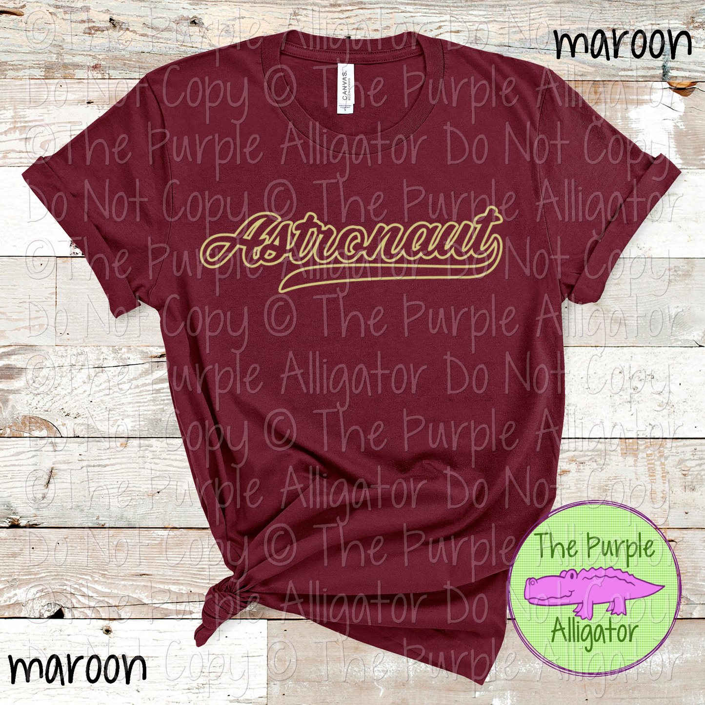 Astronaut Hollow Swash School Spirit Wear Team Swag - CHOOSE YOUR DESIGN COLOR - 0625 (d2f TPA)
