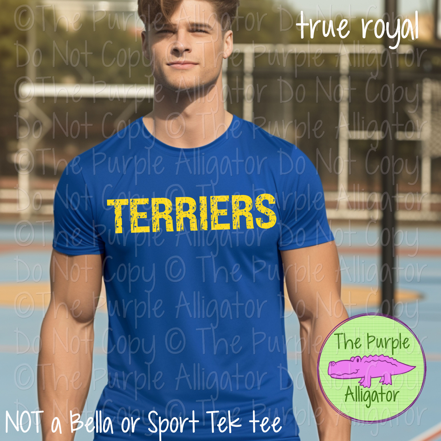 Terriers JTD Distressed Mascot School Spirit Wear CHOOSE YOUR TEXT COLOR 0225 (d2f TPA)