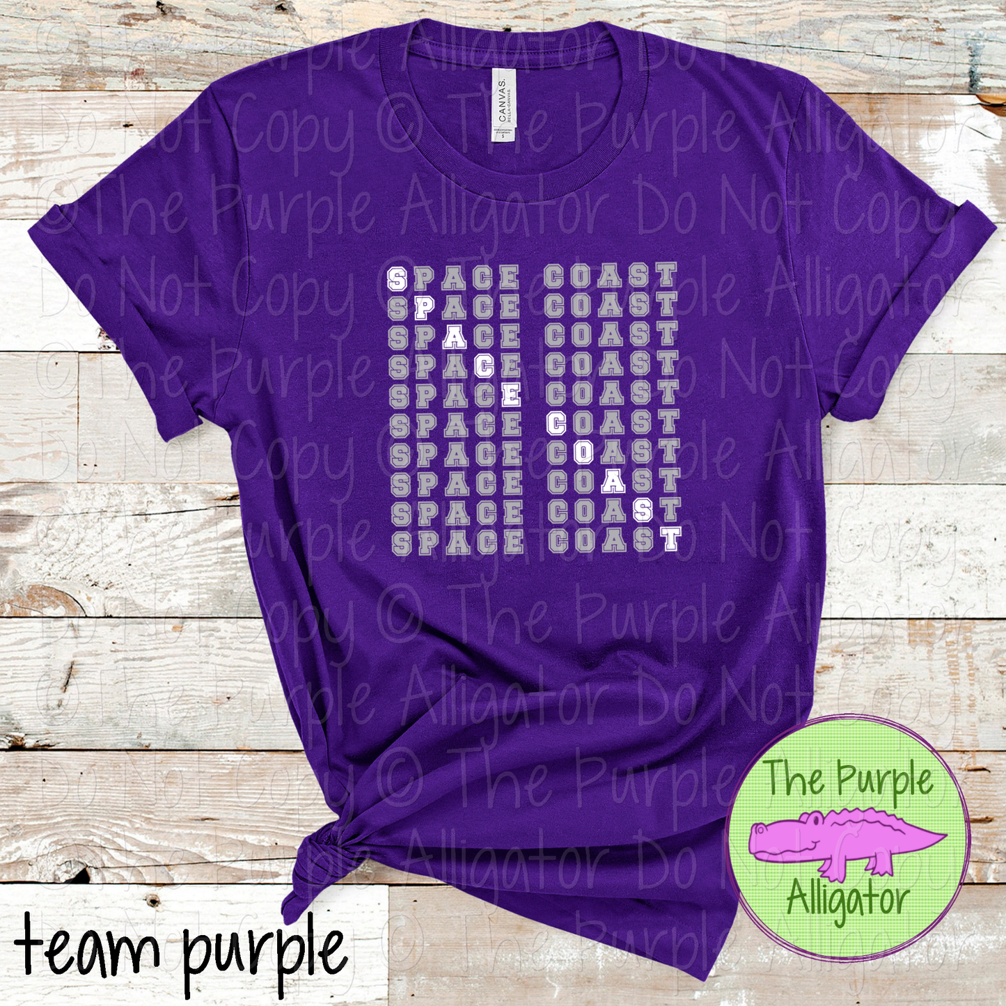 Space Coast 2 Color Stack Design | Custom Spirit Wear for Teachers, Students & Fans - CHOOSE YOUR DESIGN COLORS - 0725 (d2f TPA)
