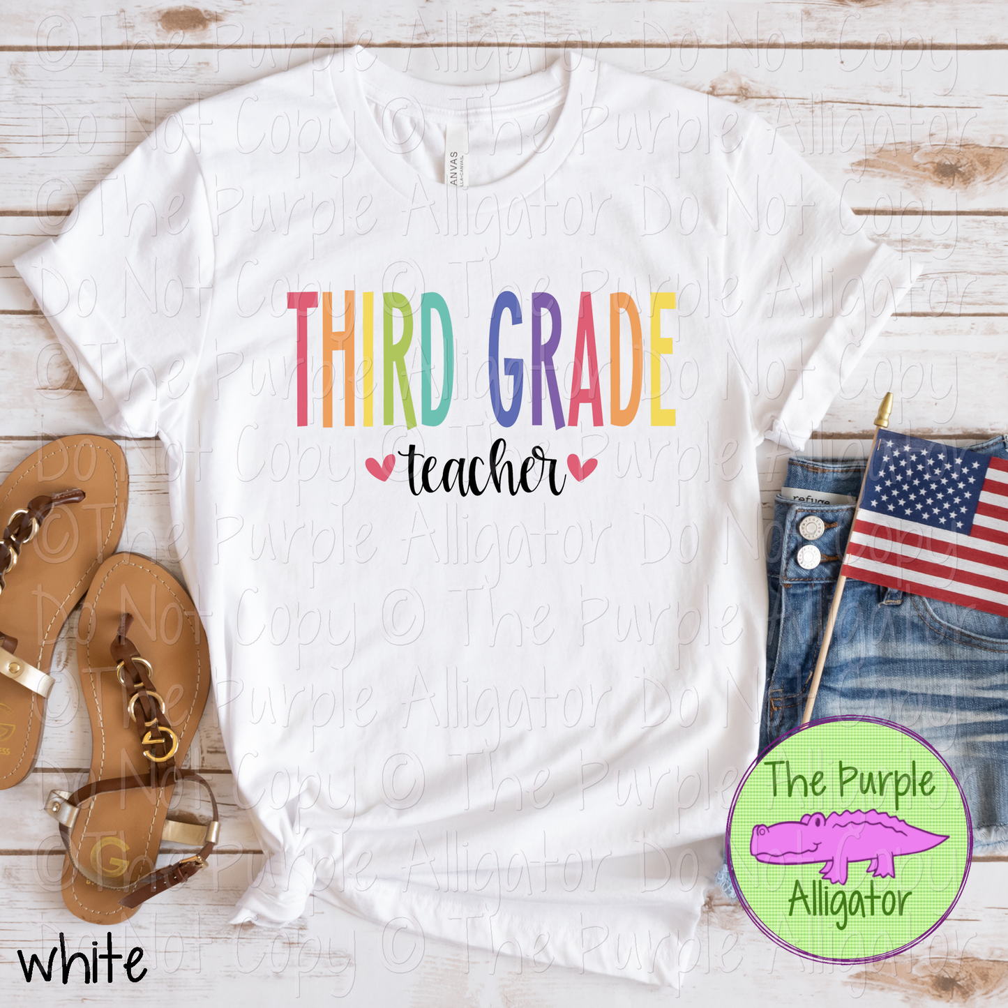 Third Grade Teacher 0524 (d2f AMD)