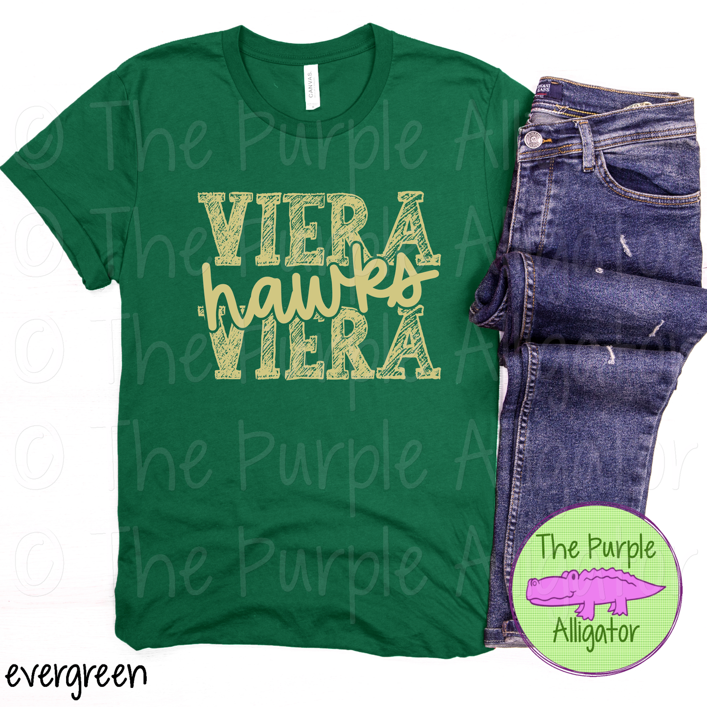 Viera Hawks Messy Sketch Mascot School Spirit - CHOOSE YOUR DESIGN COLOR(d2f TPA)