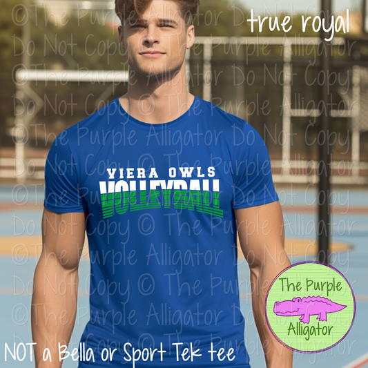 Viera Owls Volleyball SC38 Mascot School Spirit Wear Team Swag - CHOOSE YOUR DESIGN COLORS (d2f TPA)