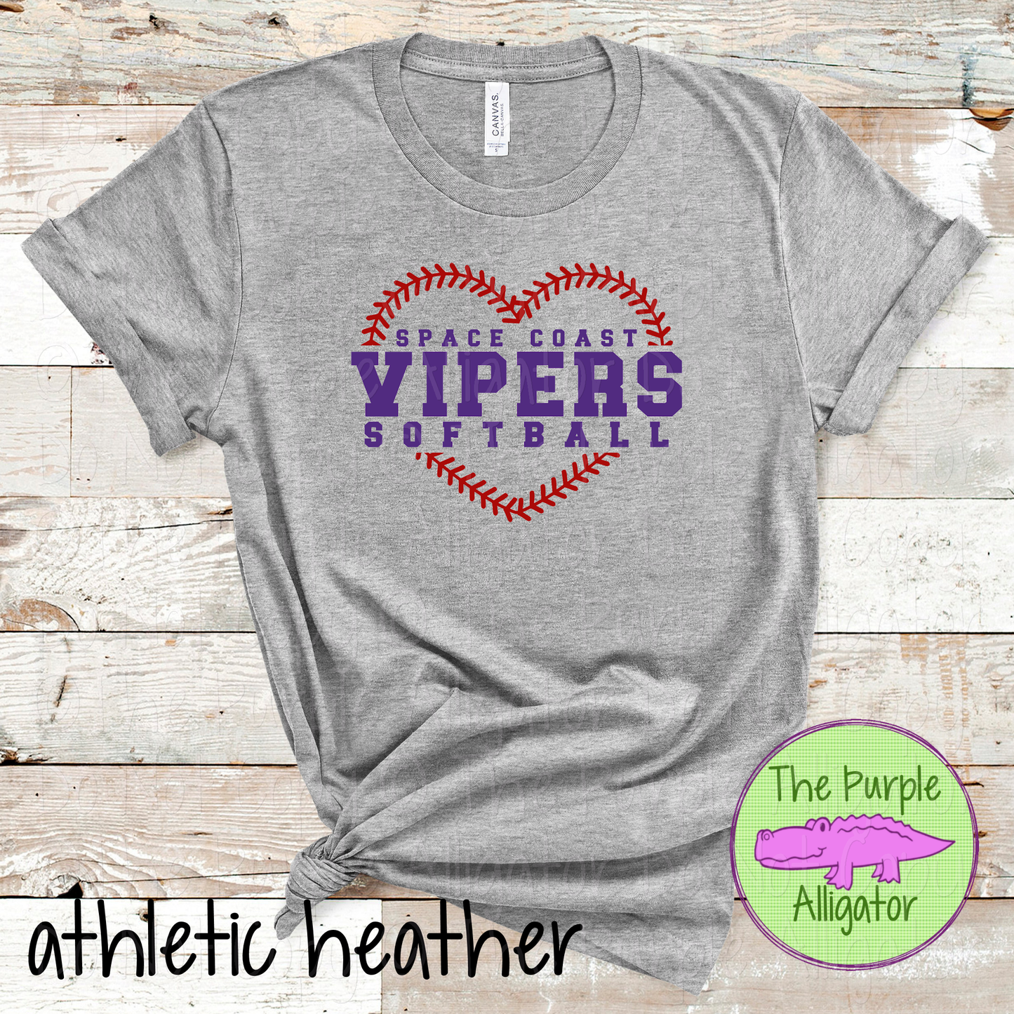 Space Coast Vipers Softball 59 Custom Team Color Game Day Apparel 0326 TPA