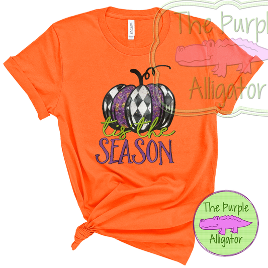 Tis the Season Pumpkin (fc OB)