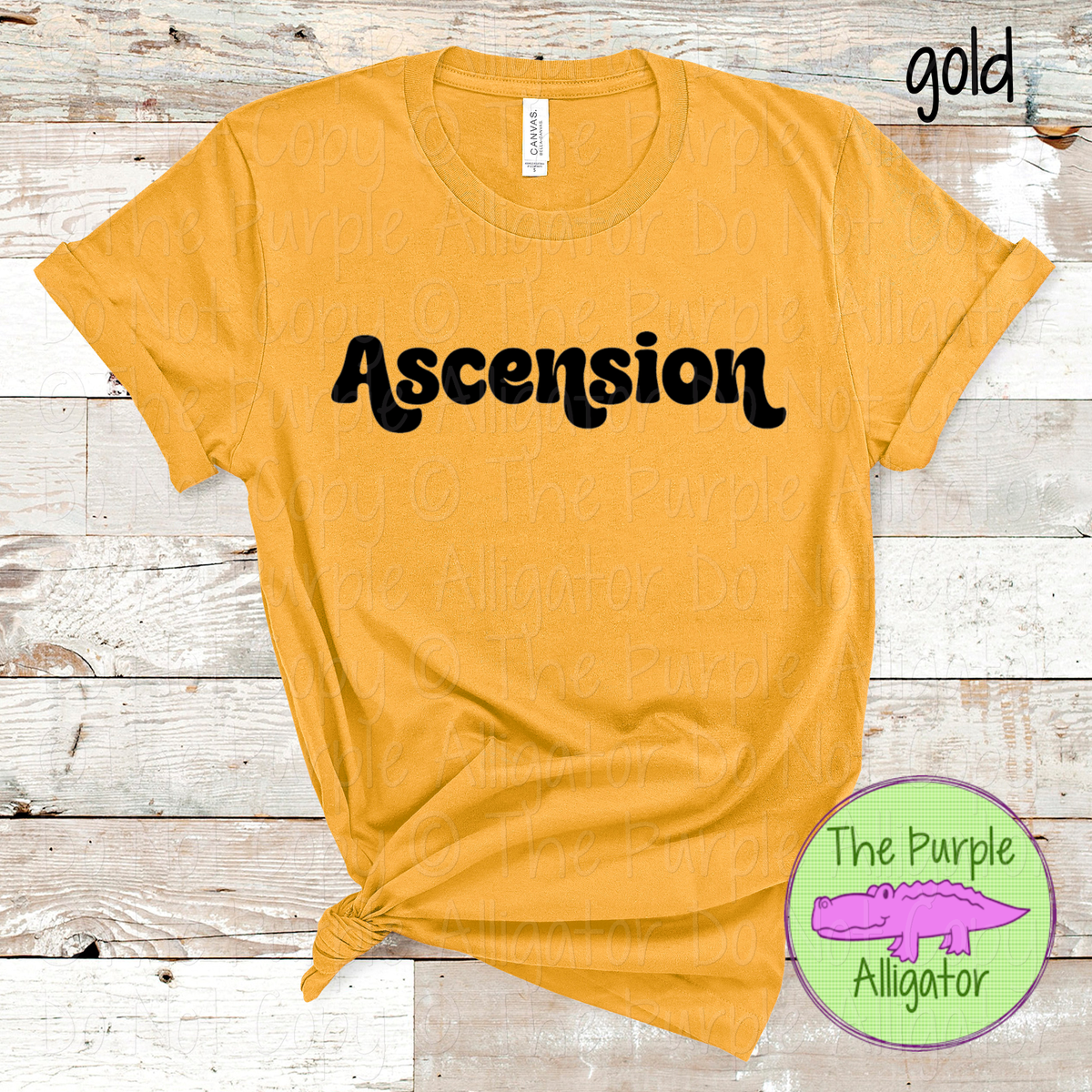 Ascension Groove – Custom School & Mascot Spirit Wear 0926 TPA