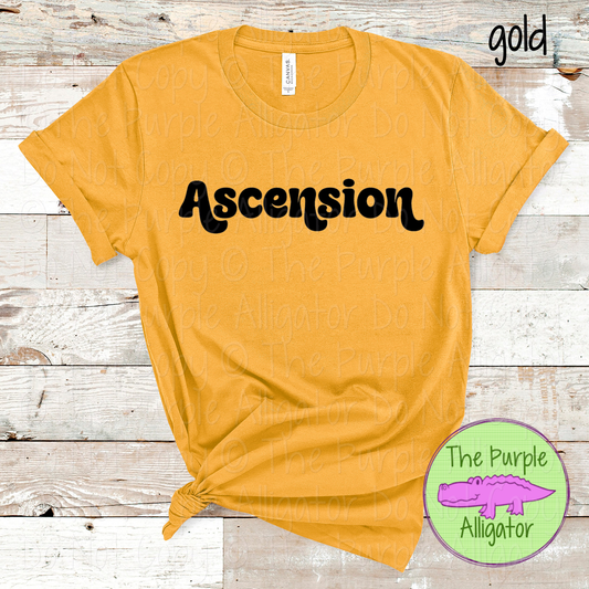 Ascension Groove – Custom School & Mascot Spirit Wear 0926 TPA