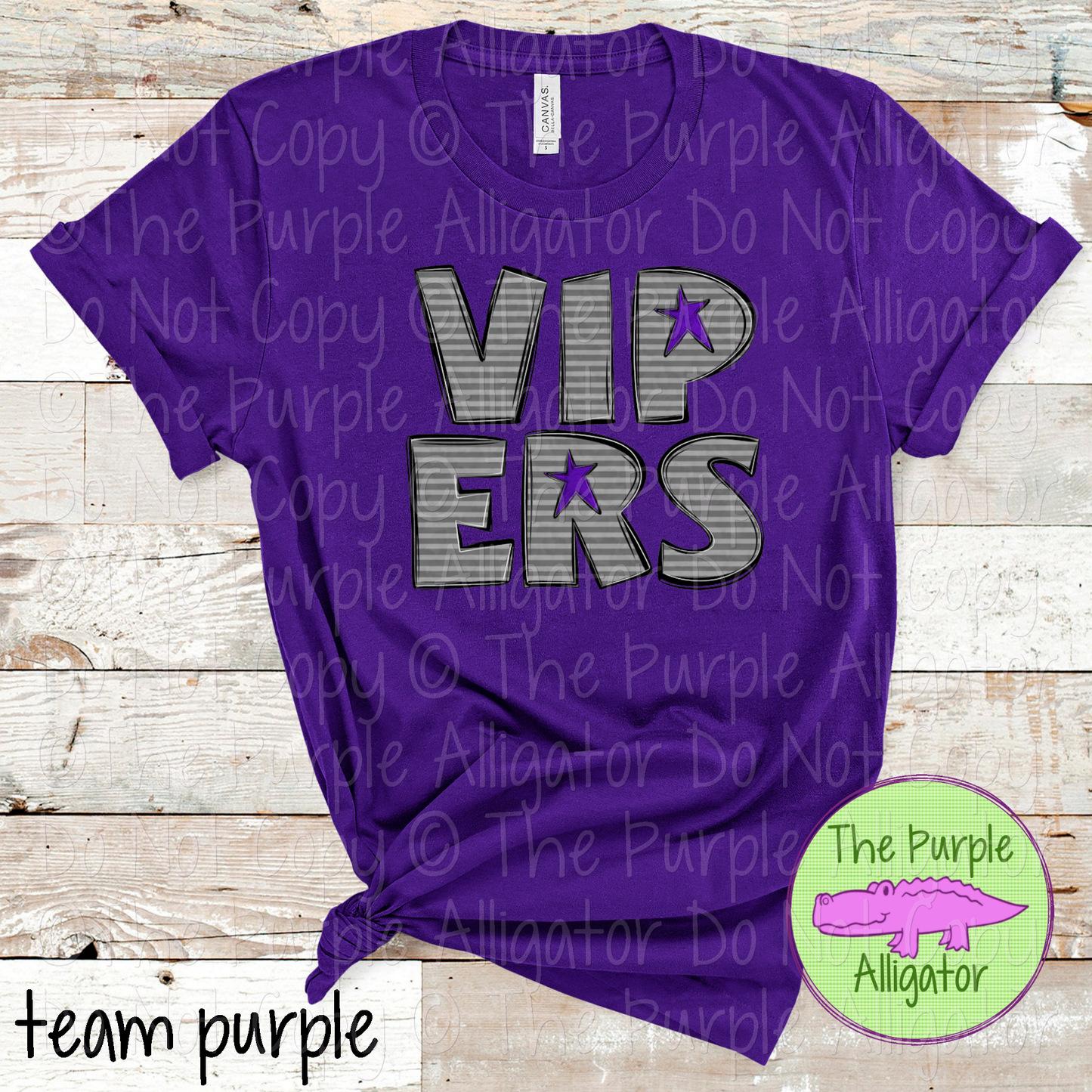 Vipers All Star Gray Stripe Mascot Spirit Wear Design 0325 (d2f TPA)