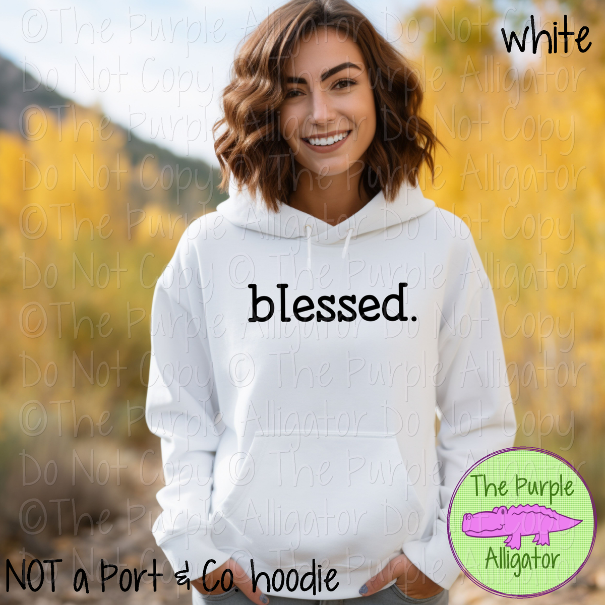Blessed Minimalist Thanksgiving Gratitude Graphic Tee 0919 TPA