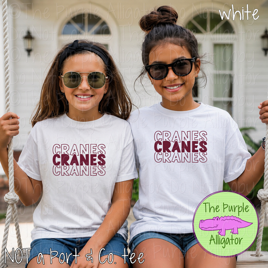 Cranes Block Party - The Stacked Series | Custom School & Mascot Spirit Wear Shirt | Personalized Fan Apparel 0126 TPA