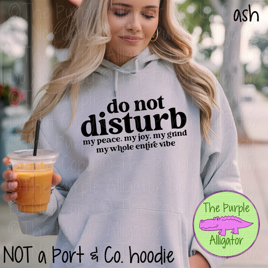 Do Not Disturb Funny Boundaries Sarcastic Graphic Tee 0921 SVGC