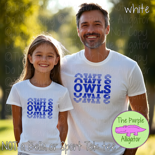 Owls Echo – The Stacked Series | Stacked Spirit Design - CHOOSE YOUR DESIGN COLOR - 0126 (d2f TPA)