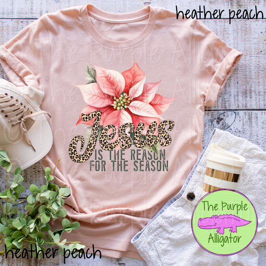 Jesus is the Reason Poinsettia 1024 (d2f HMD)