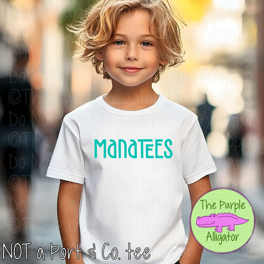 Manatees Happy Bro - Custom Spirit Wear School & Mascot Apparel 0825 TPA
