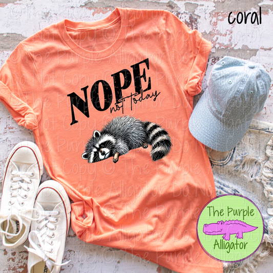 Nope Not Today 0325 (d2f DS)