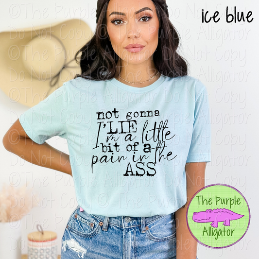 Not Gonna Lie I’m a Little Bit of a Pain in the Ass | Funny Sarcastic Design 1021 (d2f HMD)