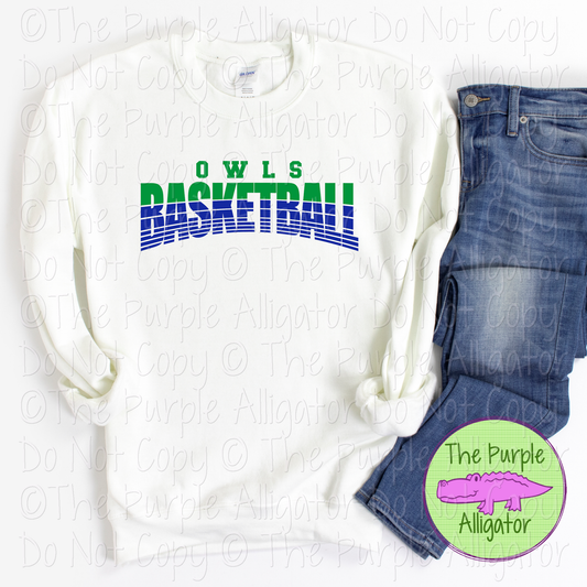 Owls Basketball 40 - Vintage Arch Custom Basketball Spirit Wear Mascot Apparel 0624 TPA