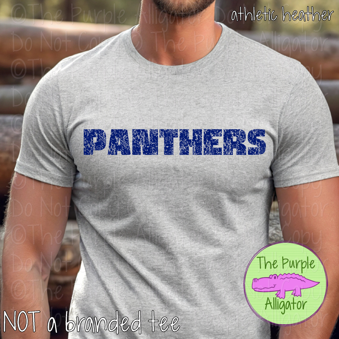 Panthers Hardline The Grunge Series Distressed Block Athletic Spirit Wear 0326 TPA