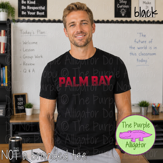 Palm Bay Championship – Bold Striped Game Day Spirit Apparel, Sports Fan Gear 0524 TPA