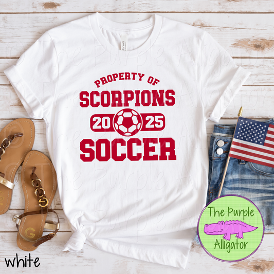 Scorpions Soccer SC44 Mascot School Spirit - CHOOSE YOUR DESIGN COLOR (d2f TPA)
