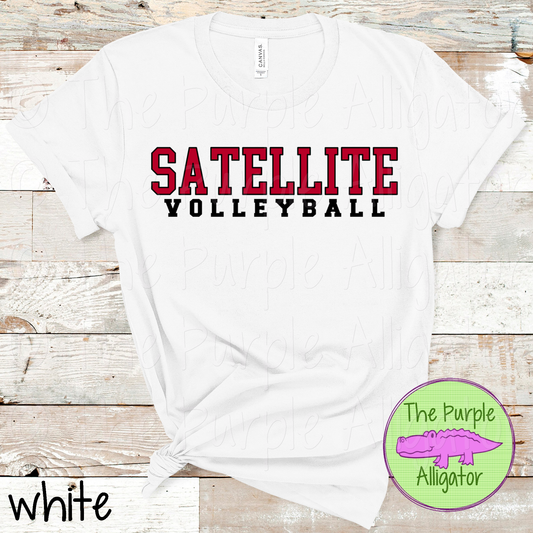 Satellite Volleyball CB-JPST School Spirit (d2f TPA)