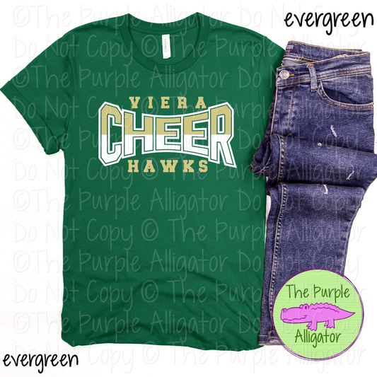 Viera Hawks Cheer Curve SC19 Mascot School Spirit Wear Team Swag - CHOOSE YOUR DESIGN COLORS - 0625 (d2f TPA)