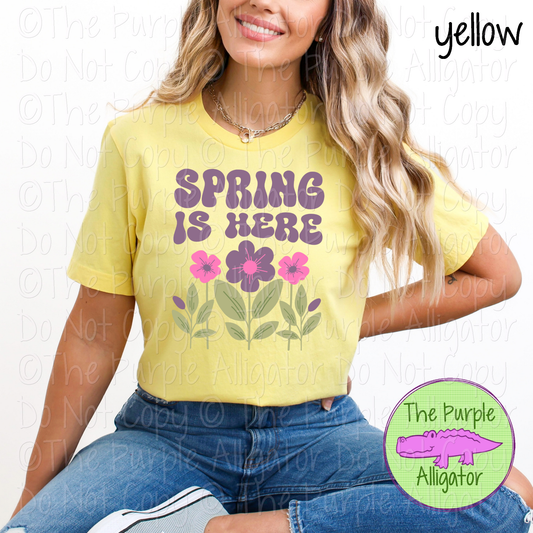 Spring is Here 0224 (d2f US)