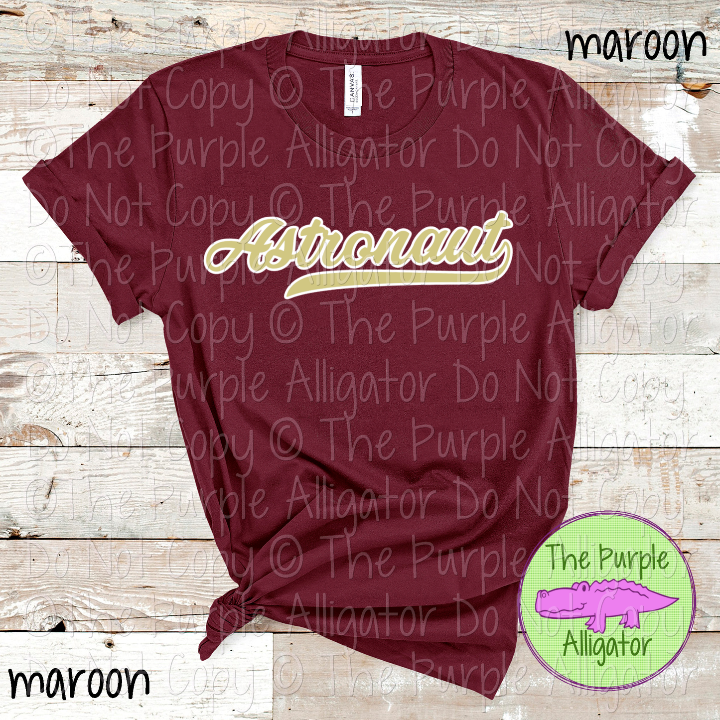 Astronaut Swash School Spirit Wear Team Swag - CHOOSE YOUR DESIGN COLORS - 0625 (d2f TPA)