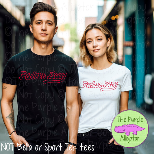 Palm Bay Swingline Hollow – The Outline Series | Retro Outlined Script Design - CHOOSE YOUR DESIGN COLOR - 1125 (d2f TPA)