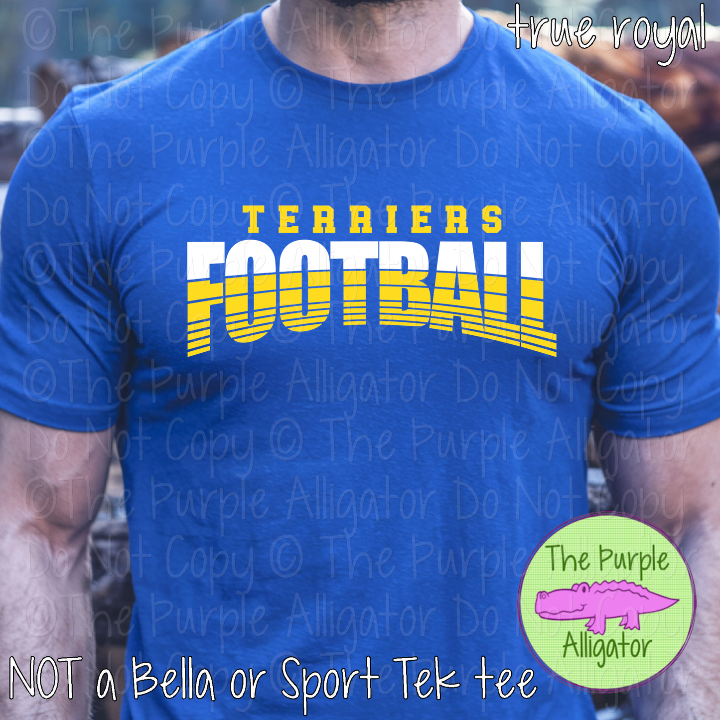 Terriers Football 41 - Vintage Arch Custom Football Spirit Wear Mascot Apparel 0626 TPA