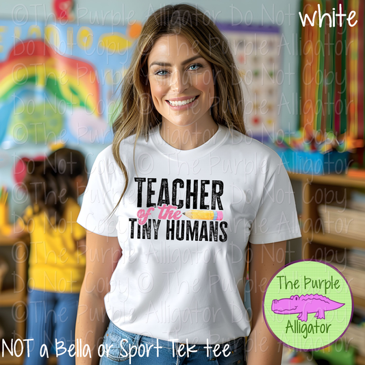 Teacher of the Tiny Humans 0622 (d2f HMD)