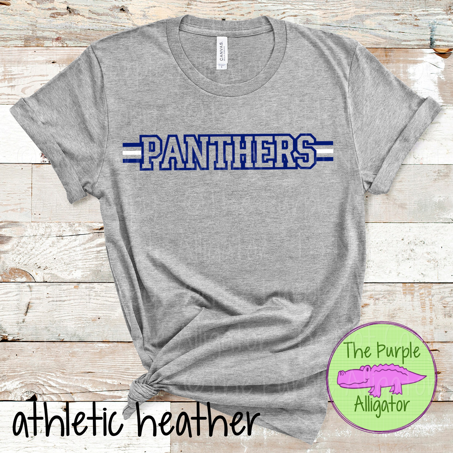 Panthers Varsity Edge Stripe - The Outline Series | Bold Outline Spirit Design for Fans & Teams - CHOOSE YOUR DESIGN COLORS - 1025 (d2f TPA)