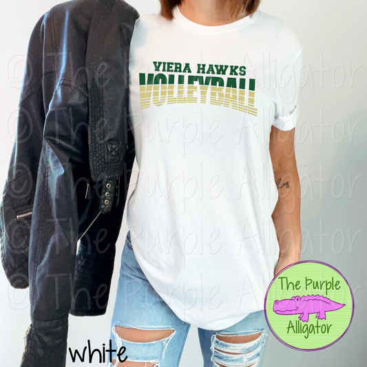 Viera Hawks Volleyball SC38 Mascot School Spirit - CHOOSE YOUR DESIGN COLORS (d2f TPA)