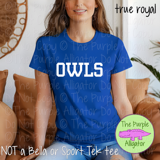 Owls Varsity Slab | Bold School Spirit Apparel for Students, Staff & Fans - CHOOSE YOUR DESIGN COLOR 0725 (d2f TPA)