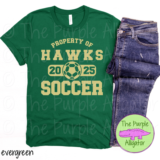 Hawks Soccer SC44 Mascot School Spirit - CHOOSE YOUR DESIGN COLOR (d2f TPA)